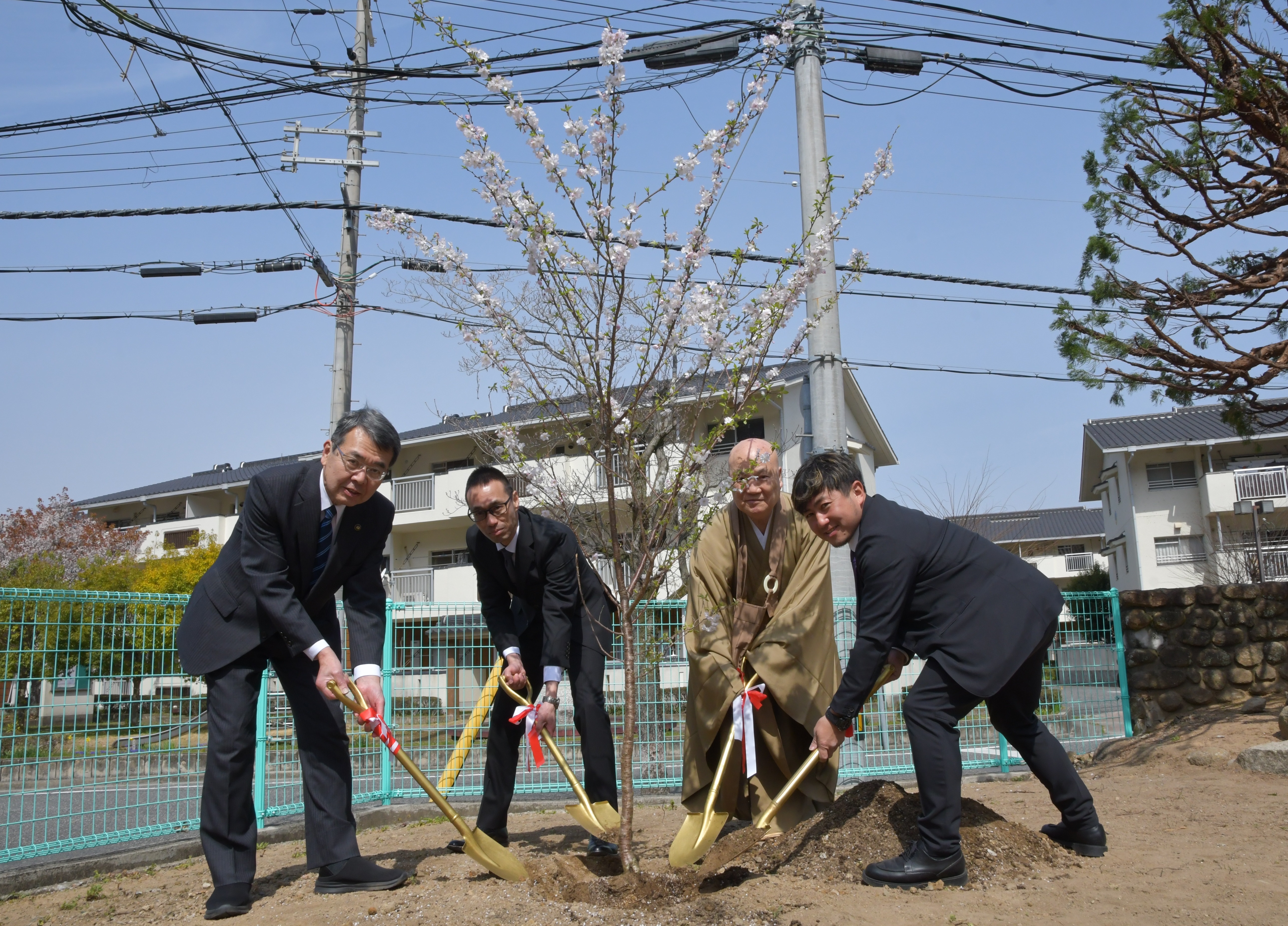 坂越小学校で桜の植樹