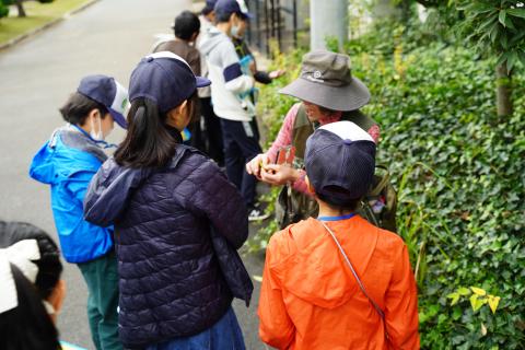 エコクラブ写真